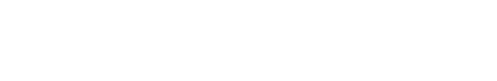 PP电子汽车